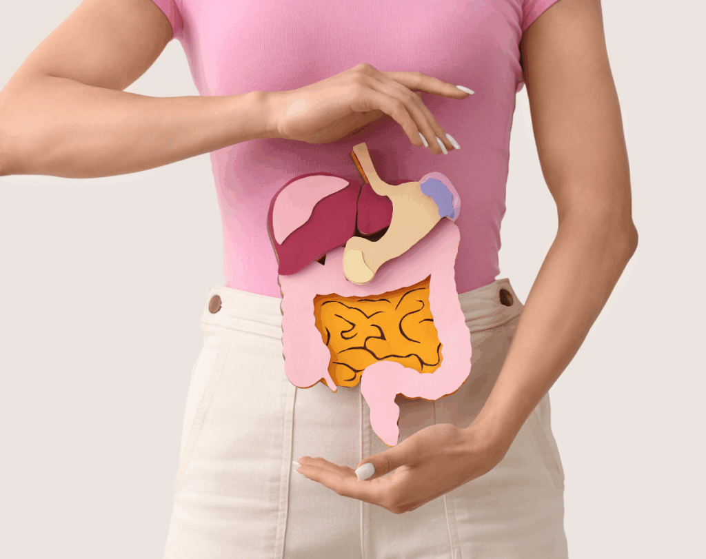 Woman holding a digestive system illustration over her abdomen.