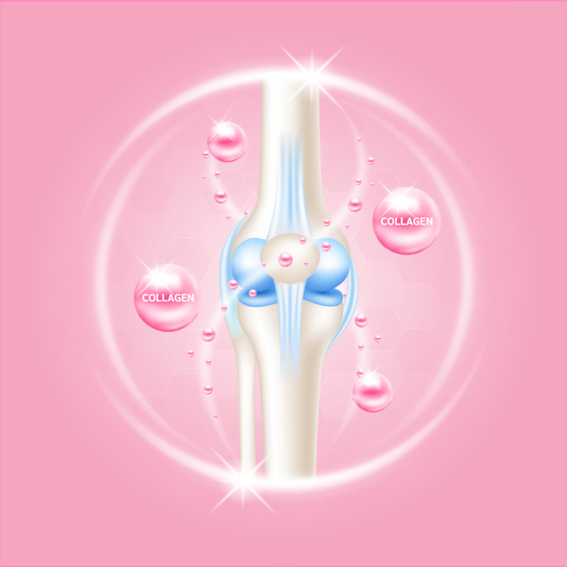 Knee joint with collagen for joint support.
