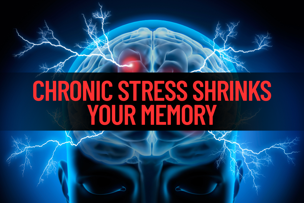 The Silent Brain Drain: How Chronic Stress Shrinks Your Memory (And What to Do About It)