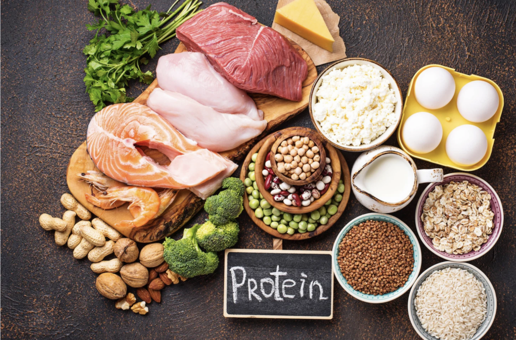 High protein foods