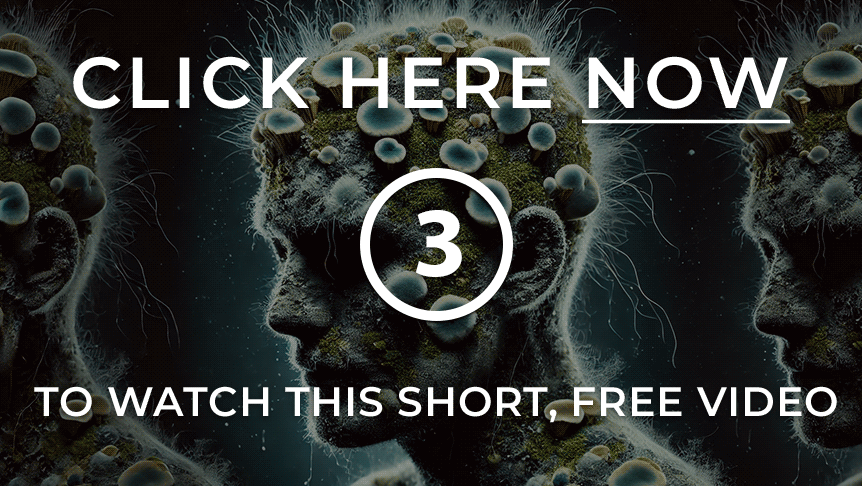 Presentation about mold