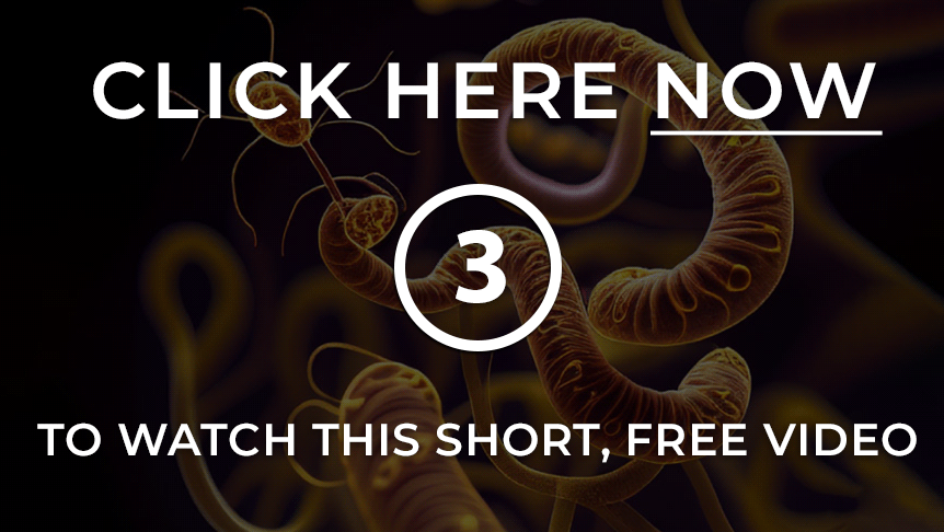 Video about parasites