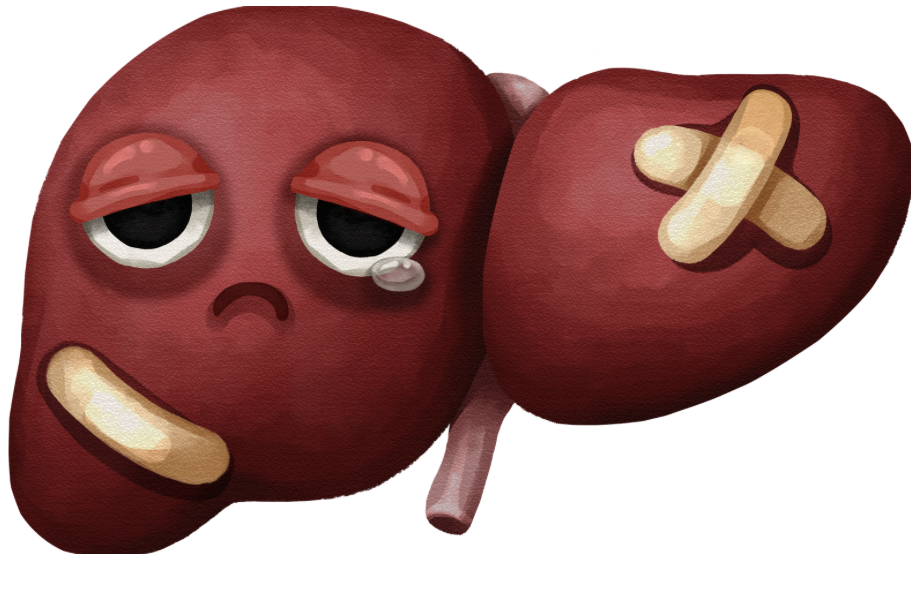 Sad liver illustration