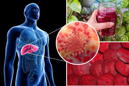 What Is a “Happy Liver”? (And Why Most People Lose That Feeling After 40)